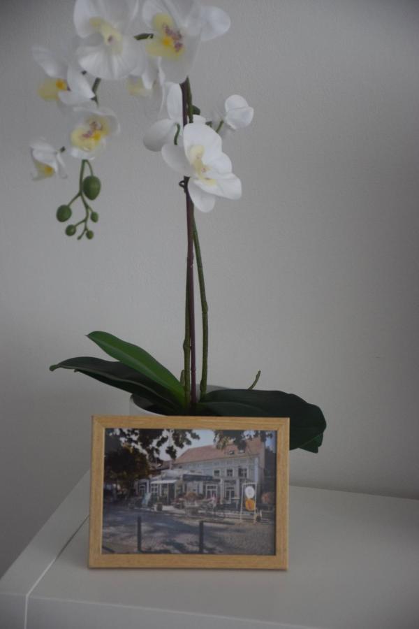 Feel Danube Apartment Zemun ภายนอก รูปภาพ