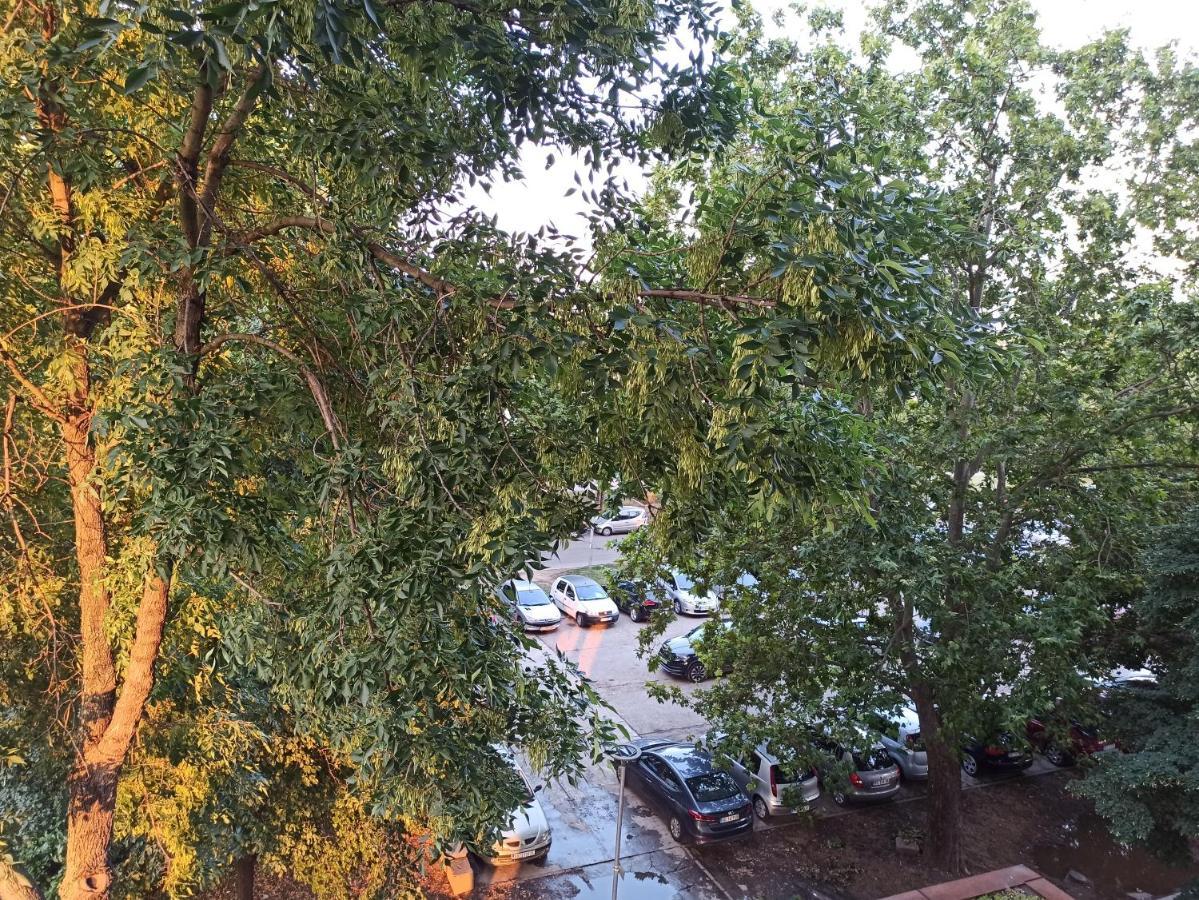 Feel Danube Apartment Zemun ภายนอก รูปภาพ